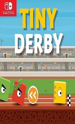 Tiny-Derby-NSP-Switch.jpg