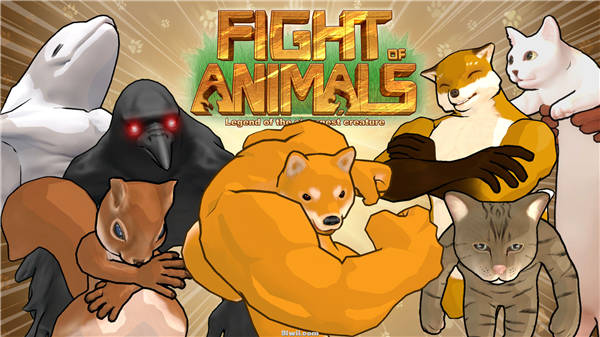 fight-of-animals-hero.jpg