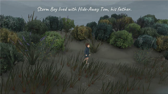 storm-boy-switch-screenshot02.jpg