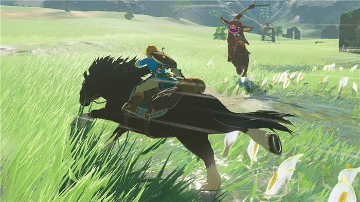 the-legend-of-zelda-breath-of-the-wild-switch-screenshot02.jpg