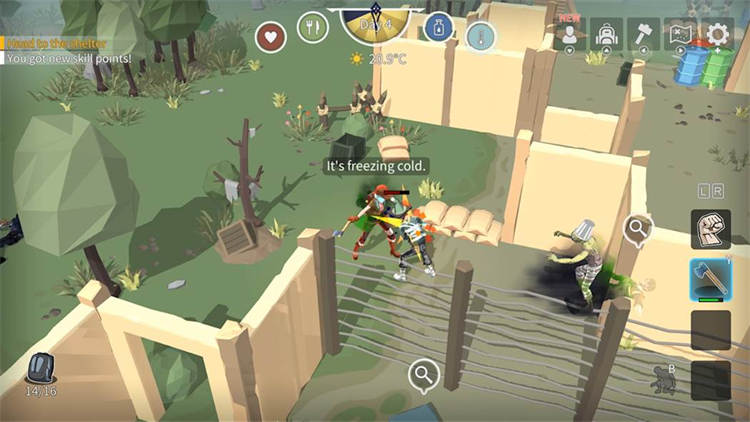 Jungle Z 5.jpg