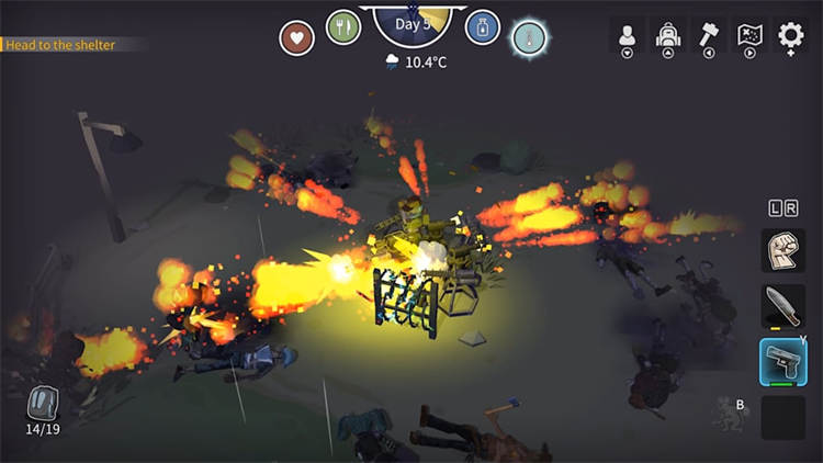 Jungle Z 6.jpg