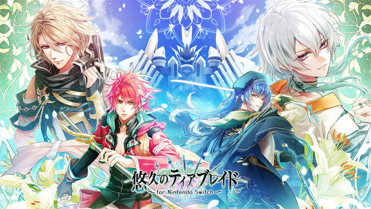 Nintendo Switch 版《永恒之泪之刃》.jpg