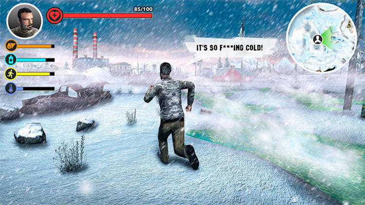 Road Z Survival_ The Last Winter 2.jpg