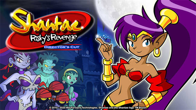 Shantae_ Risky's Revenge - Director's Cut 1.jpg