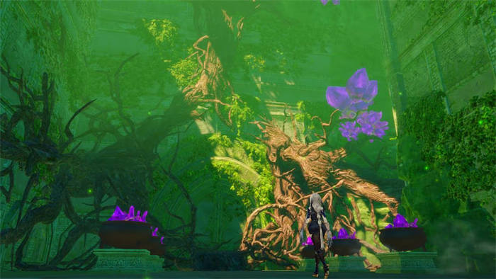 Atelier Ryza Secret Trilogy Deluxe Pack 5.jpg