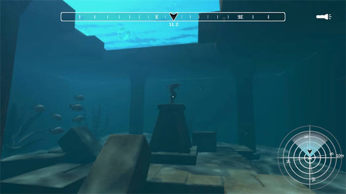 Dive Expedition 5.jpg