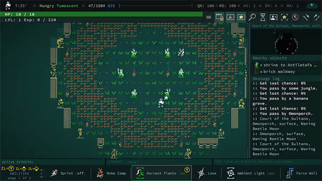 Caves of Qud 2.jpg
