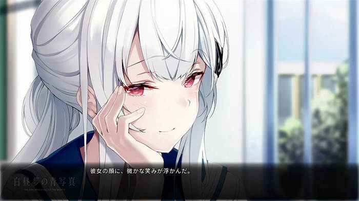 白昼夢の青写真 (2).jpg