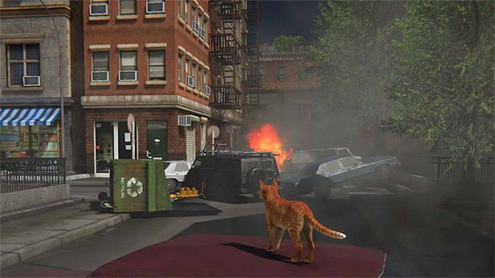 Little Strays 2 2.jpg