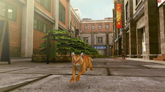 Little Strays 2 3.jpg