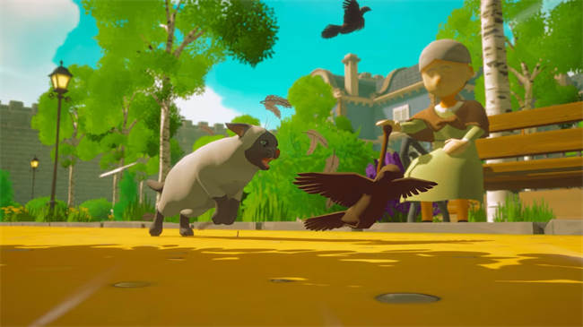 Pawbay 4.jpg
