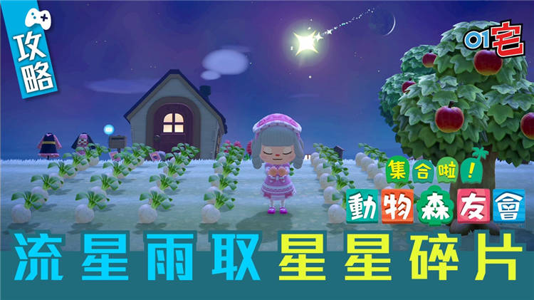 【集合啦！动物森友会】攻略 流星雨取大星星碎片及星座碎片